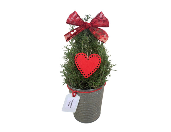 Rosemary Valentines Tree- Personalized
