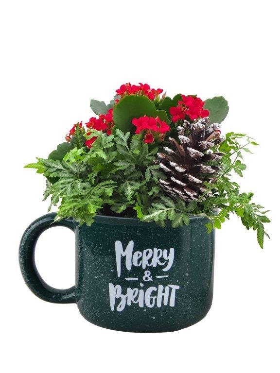 Christmas Mug Arrangements